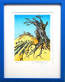 /products/josef-velcovsky-toskansko-grafika/